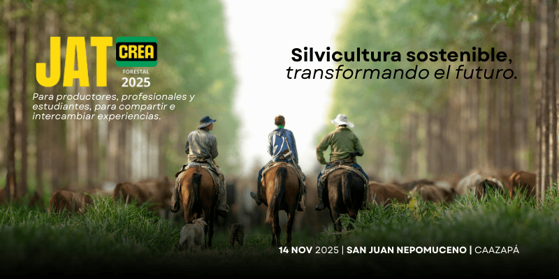 Imagen del evento JAT - FORESTAL